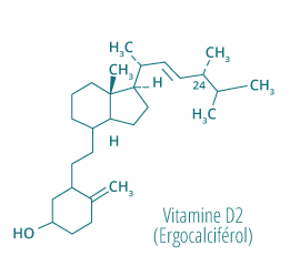 Molecule vitamine d2