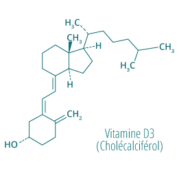Molecule vitamine d3