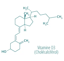 Molecule vitamine d3